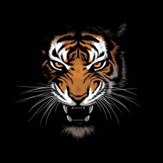Telegram profile photo for India Tiger Official-Payment