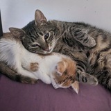 Telegram profile photo for тыгдыкошная