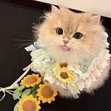 Telegram profile photo for 👙台灣外送茶|全台外約預約名單