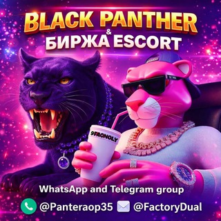 Telegram group profile photo for PANTHERA 2️⃣