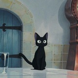 Telegram profile photo for رسانه آزاد گربه سیاهه
