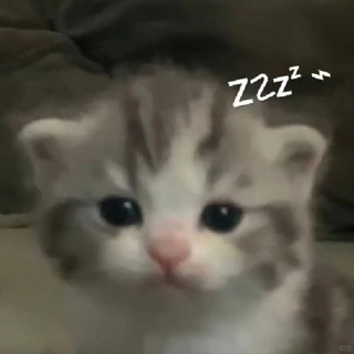 Telegram profile photo for kit💤
