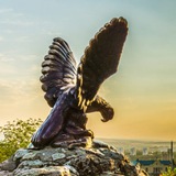 Telegram profile photo for Кавказский Цветник