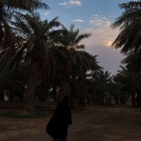 Telegram profile photo for مِغْنَاج
