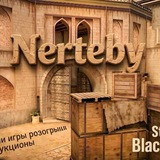 Telegram profile photo for Отзывы Nerteby