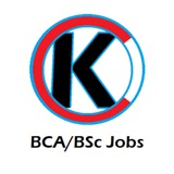 Telegram profile photo for BCA/B.Sc Freshers Jobs