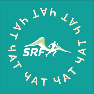 Telegram group profile photo for SKYRUNFEST
