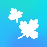 Telegram profile photo for xl688