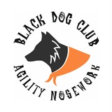 Telegram profile photo for Аджилити - Ноузворк