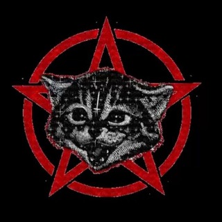 Telegram profile photo for Fr0srb1te