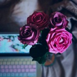 Telegram profile photo for حالات واتس اب