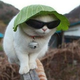 Telegram profile photo for ПРИТЬФУЛЬ МЫСЛИТ АХАХААХАХ