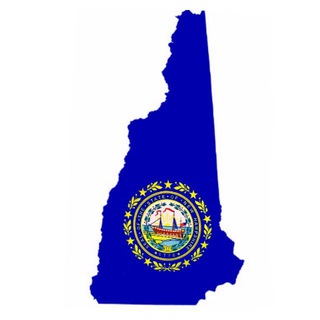 Telegram group profile photo for New Hampshire Audit Chat