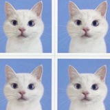 Telegram profile photo for 777
