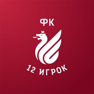 Telegram profile photo for ФК «12 игрок»