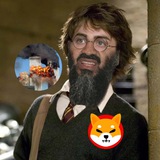 Telegram profile photo for HarryPotterOsamaBinLaden911Inu