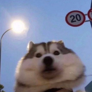 Telegram profile photo for EP VPN