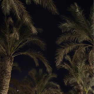 Telegram profile photo for الطائفة المنصورة