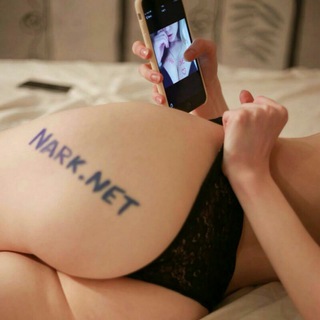 Telegram group profile photo for Nark.Net