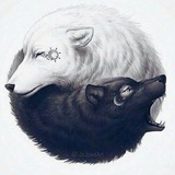 Telegram profile photo for ꦿŞΔβ€Ř ĐØ ҉ Ş ŁØβØ᬴⃝Ş🐺