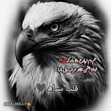 Telegram profile photo for قلب سیاه 🖤