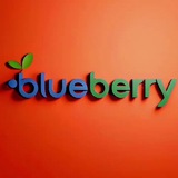 Telegram profile photo for BlueBerry Обмен валюты Аргентина Буэнос-Айрес доставка