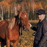 Telegram profile photo for Камеру сюда