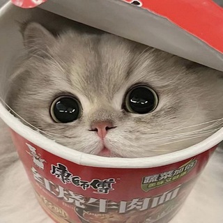 Telegram profile photo for 小宇神旧频道(已不更新)