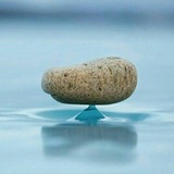 Telegram profile photo for #سنجش_های_پورفریاد