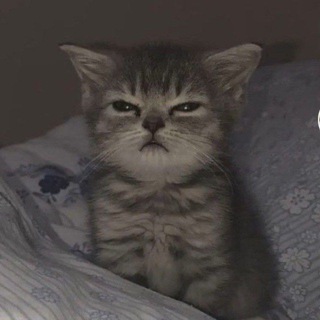 Telegram profile photo for Канал для личных рук