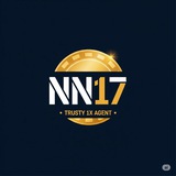 Telegram profile photo for NN17