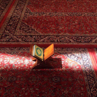 Telegram profile photo for قنتاج
