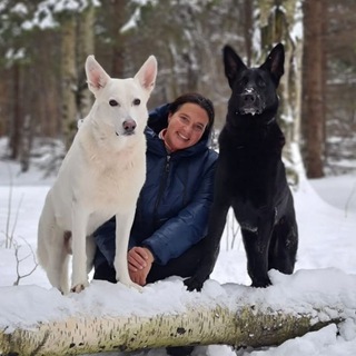 Telegram profile photo for Догтренинг