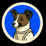 Telegram profile photo for Laika