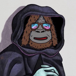 Telegram profile photo for Crypto kamara call