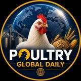 Telegram profile photo for Poultry Global Daily UZB