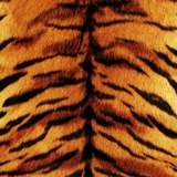 Telegram profile photo for ๐๐ฒ๐ถ๐ป ๐น๐ฎ๐๐๐ถ๐ฐ๐ฒ