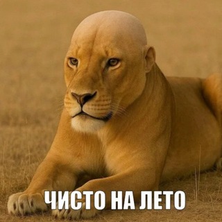 Telegram profile photo for Psina_pis