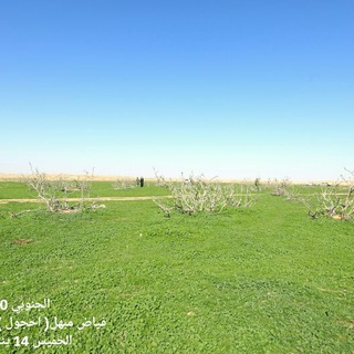 Telegram profile photo for قناه الجنوبي 2000