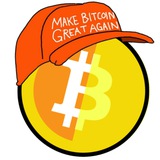 Telegram profile photo for HALF BTC