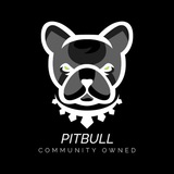 Telegram profile photo for Pitbull NEWS