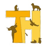 Telegram profile photo for Tiere anders behandeln