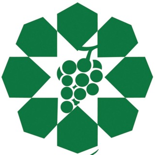 Telegram profile photo for تاکستان