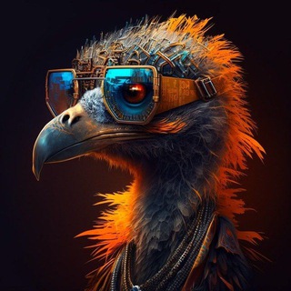 Telegram group profile photo for Nostr Nederland