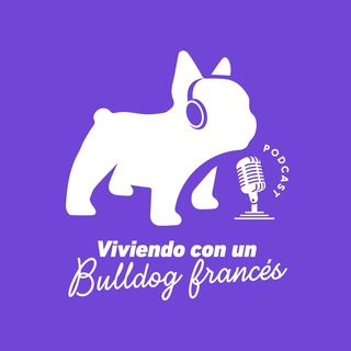 Telegram profile photo for Bulldog Frances Ecuador