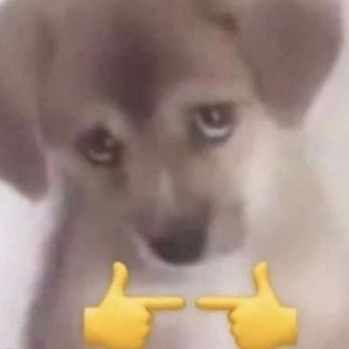 Telegram profile photo for Тумба на тумбе телеграммный
