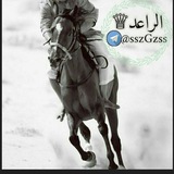 Telegram profile photo for الرّاعد | ARAED🏹
