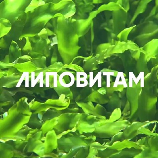 Telegram profile photo for Липовитам 🔆