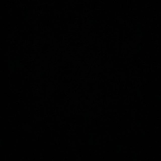 Telegram profile photo for Racist
