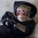 Telegram profile photo for Молчи чел
